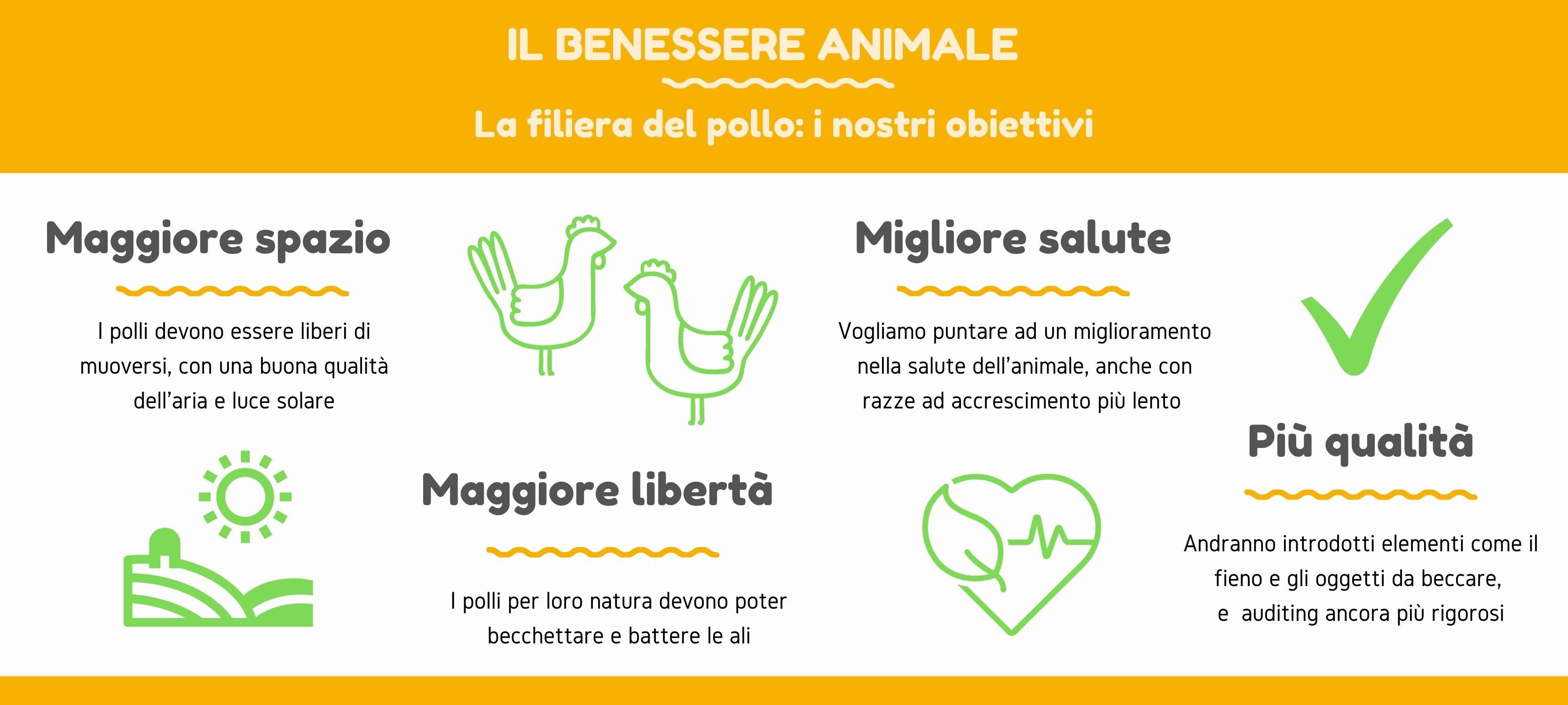 inforgrafica obiettivi benessere filiera del pollo